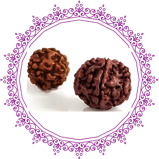 RUDRAKSHA